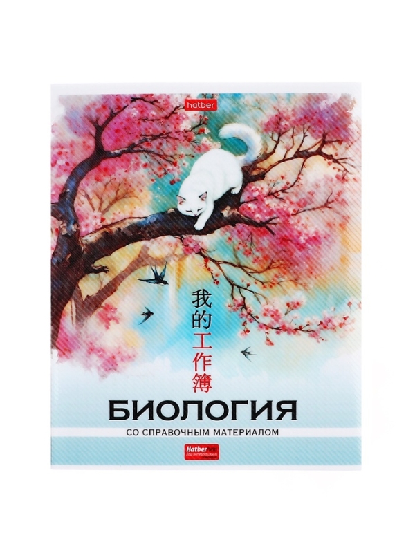 Комплект предметных тетрадей 48 листов, 12 предметов Hatber «Искусство Азии», пластиковая обложка с печатью, тиснение фольгой, с интерактивным сп... Комплект предметных тетрадей 48 листов, 12 предметов Hatber «Искусство Азии», пластиковая обложка с печатью, тиснение фольгой, с интерактивным сп...