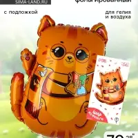 Воздушный шар фольгированный 28" &laquo;Котик-волшебник&raquo;, с подложкой