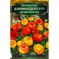 Семена цветов Ранункулюс Блюмингдейл II F1 фаэйр биколор Мн С. Sakata Золотая серия, Ц/П,3 шт. 10945