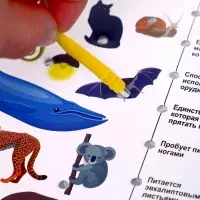 Электровикторина Десятое Королевство &laquo;Размышляй-ка&raquo;, 7-12 лет