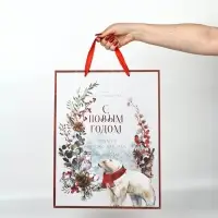 Набор новогодних пакетов &laquo;Время чудес в Новом году&raquo;