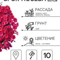 Семена цветов Петуния ампельная крупноцветковая &laquo;Лавина&raquo; F1, пурпурная, драже, 10 шт.