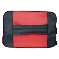 Термосумка AVS TC-20 (20 л.)