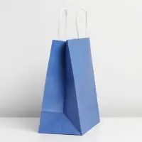 Пакет подарочный крафтовый, упаковка, «Blue», 22 х 25 х 12 см Пакет подарочный крафтовый, упаковка, «Blue», 22 х 25 х 12 см