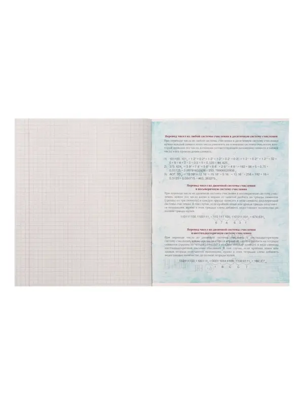 Предметная тетрадь по информатике Calligrata &laquo;Животные мемы&raquo;, 36 листов, в клетку, со справочным материалом, обложка из мелованной бумаги