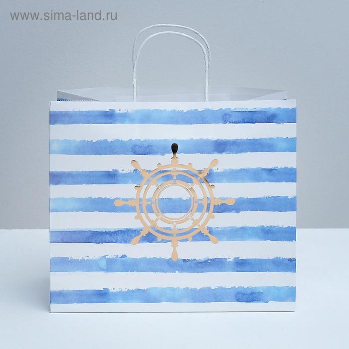 Пакет подарочный крафтовый, упаковка, «Якорь», 32 х 28 х 15 см Пакет подарочный крафтовый, упаковка, «Якорь», 32 х 28 х 15 см