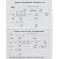 Прививочный сертификат, набор 2 шт.