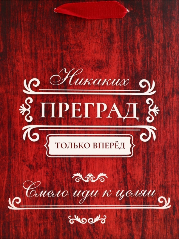 Пакет подарочный вертикальный "Только вперёд", 18 х 23 х10 см