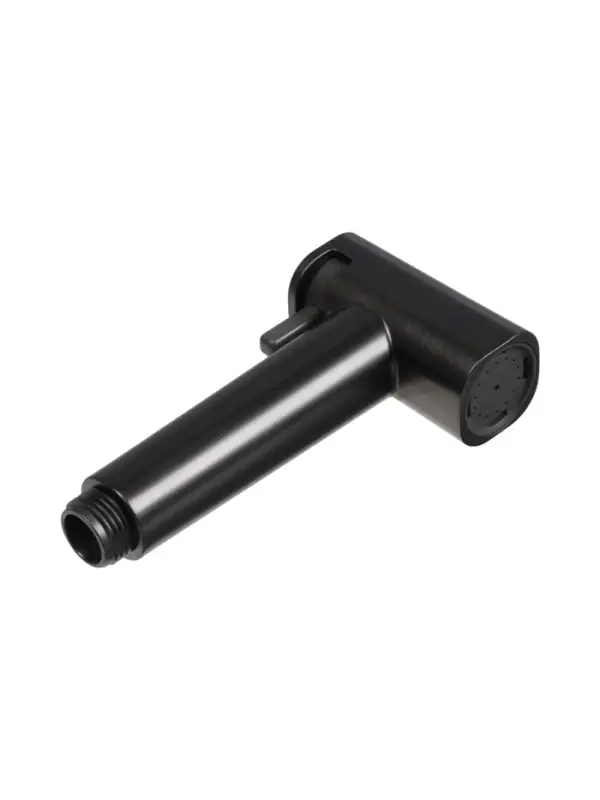 Гигиеническая лейка Accoona AF30501ST