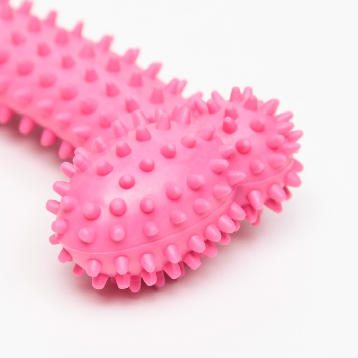 Игрушка жевательная Игрушка жевательная "Большая кость", 15,5 см, розовая