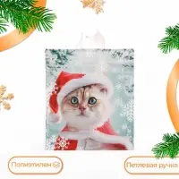 Пакет «Пушистое ожидание», полиэтиленовый с петлевой ручкой, 42×38 см