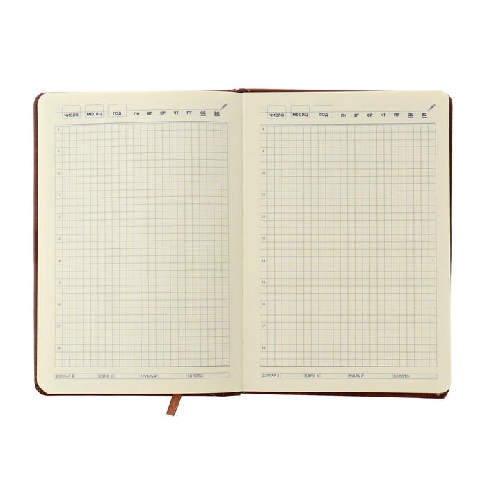 Ежедневник недатированный А5, 116 листов в клетку, с хлястиком, обложка кожзам, МИКС Ежедневник недатированный А5, 116 листов в клетку, с хлястиком, обложка кожзам, МИКС