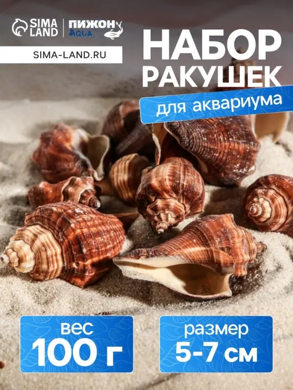 Набор ракушек, 5 - 7 см, 100 г