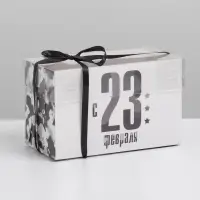 Коробка для капкейков, кондитерская упаковка с пластиковой крышкой, 2 ячейки, &laquo;23 февраля&raquo;, 16&times;8&times;10 см