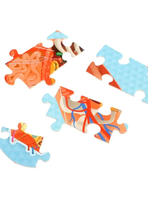 Большой подарок ГЕОДОМ &laquo;Выпускнику детского сада&raquo; 7 в 1