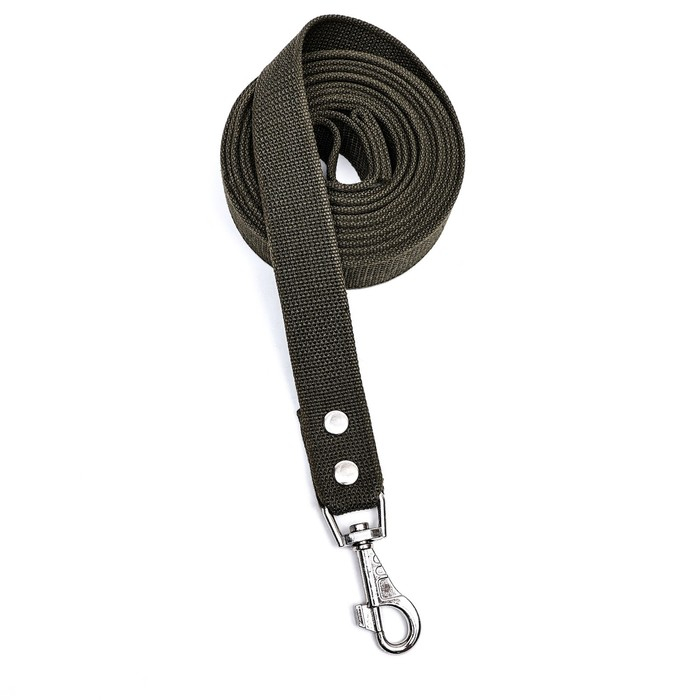 Поводок брезентовый 5 м х 3,5 см, тёмно-зелёный Поводок брезентовый 5 м х 3,5 см, тёмно-зелёный