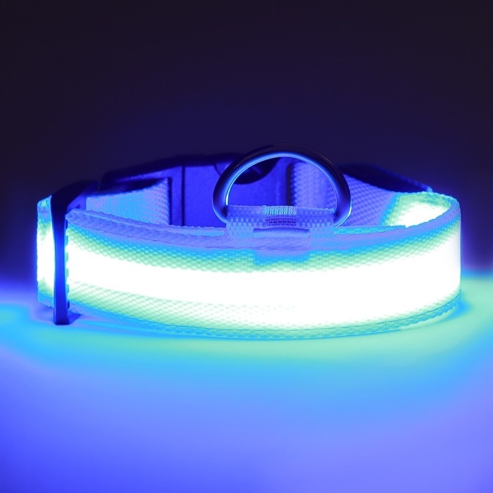 Ошейник с подсветкой, зарядка от USB, размер XS, ОШ 28-38 см, 3 режима, голубой Ошейник с подсветкой, зарядка от USB, размер XS, ОШ 28-38 см, 3 режима, голубой