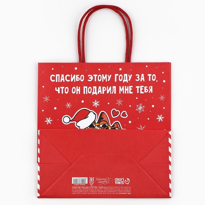 Пакет подарочный новогодний «Спасибо этому году», 22 х 22 х 11 см Пакет подарочный новогодний «Спасибо этому году», 22 х 22 х 11 см