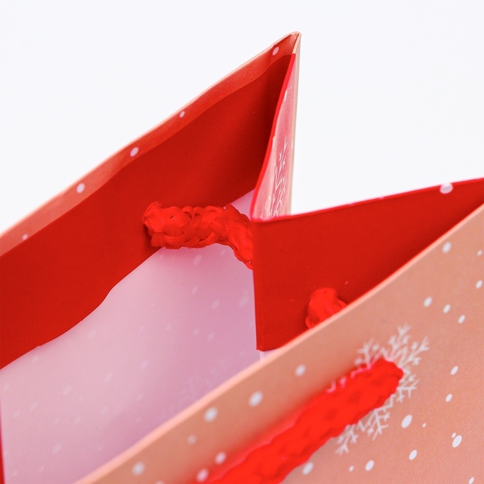 Новый год. Пакет подарочный новогодний под бутылку, упаковка  Новый год. Пакет подарочный новогодний под бутылку, упаковка "Красивая Ёлка", 12 х 36 х 8,5 см.