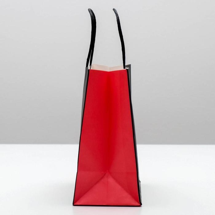 Пакет подарочный новогодний «Деда мороза не существует», 22 х 22 х 11 см, Новый год Пакет подарочный новогодний «Деда мороза не существует», 22 х 22 х 11 см, Новый год