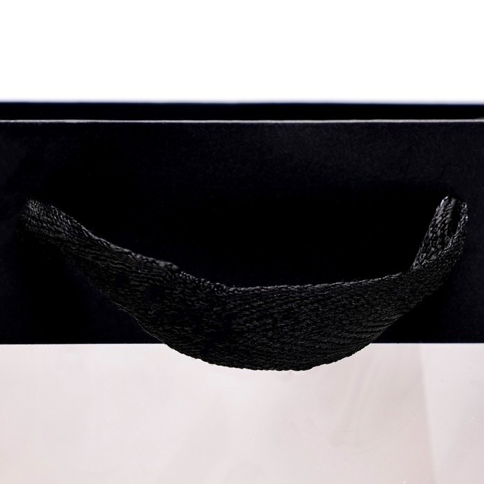 Пакет подарочный, с окном, 25 х 18 х 13 см, черный, 1шт. Пакет подарочный, с окном, 25 х 18 х 13 см, черный, 1шт.