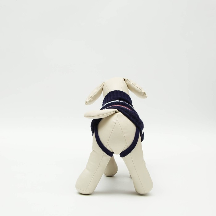 Свитер, размер 10 (ДС 30-45, ОШ 16-31, ОГ 30-45 см), микс расцветок Свитер, размер 10 (ДС 30-45, ОШ 16-31, ОГ 30-45 см), микс расцветок