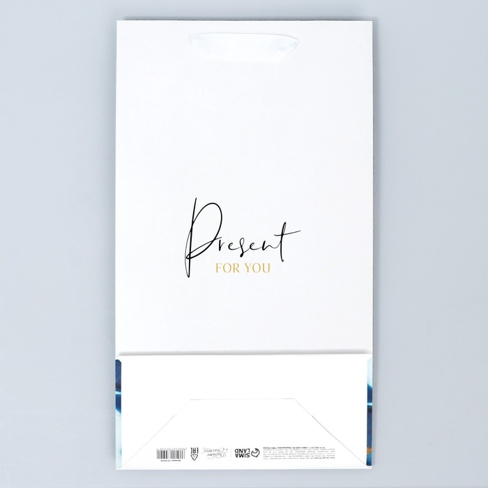 Пакет подарочный под две бутылки, упаковка, «Present for you», 35 х 20 х 9 см Пакет подарочный под две бутылки, упаковка, «Present for you», 35 х 20 х 9 см