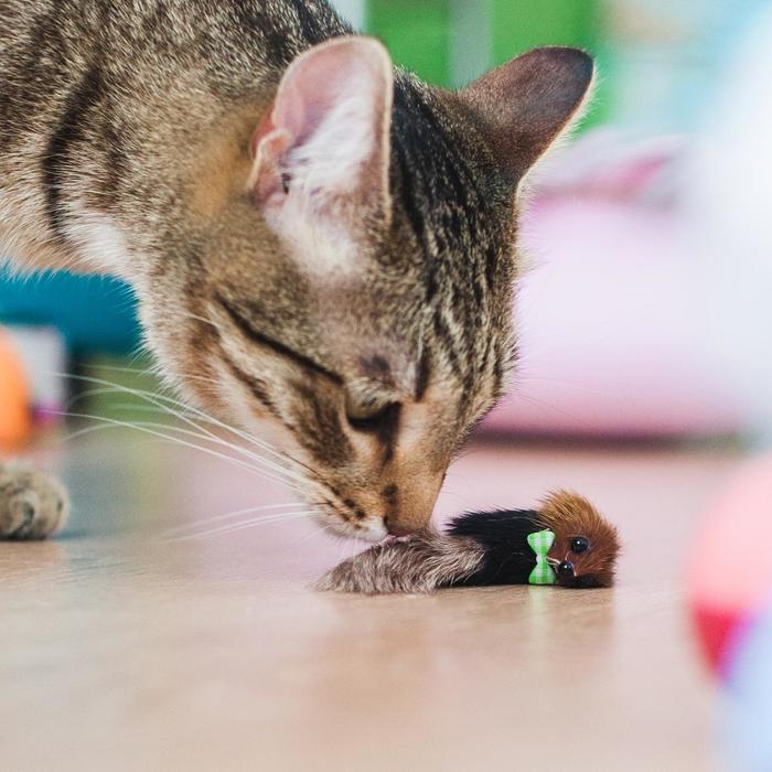 Мышь из натурального меха малая, корпус 5 см, микс цветов Мышь из натурального меха малая, корпус 5 см, микс цветов