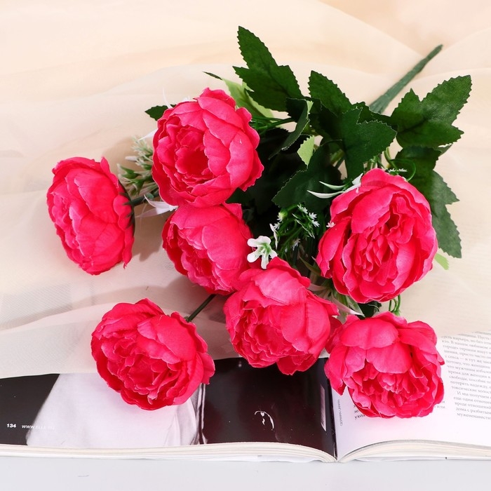 Букет Букет "Пион Аверилл" 5х30 см, микс