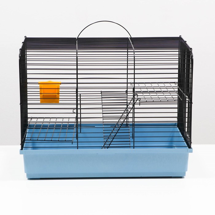 Клетка для грызунов  Клетка для грызунов "Сеня 2", 50 x 37 x 37 см, микс цветов