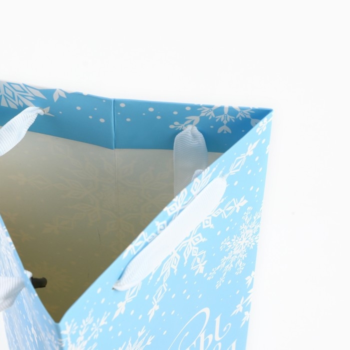 Пакет под бутылку, треугольный «Мечты», 13 х 32 х 11.3 см, Новый год Пакет под бутылку, треугольный «Мечты», 13 х 32 х 11.3 см, Новый год