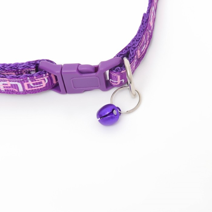 Ошейник двухслойный с фастексом Ошейник двухслойный с фастексом "Квадраты", 30 х 1 см, фиолетовый