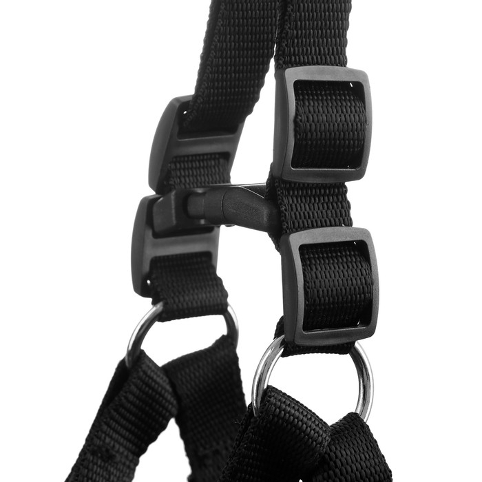 Шлейка Шлейка "Комфорт" комбинированная, 2 см, ОШ 38-55 см, ОГ 40-60 см, чёрная