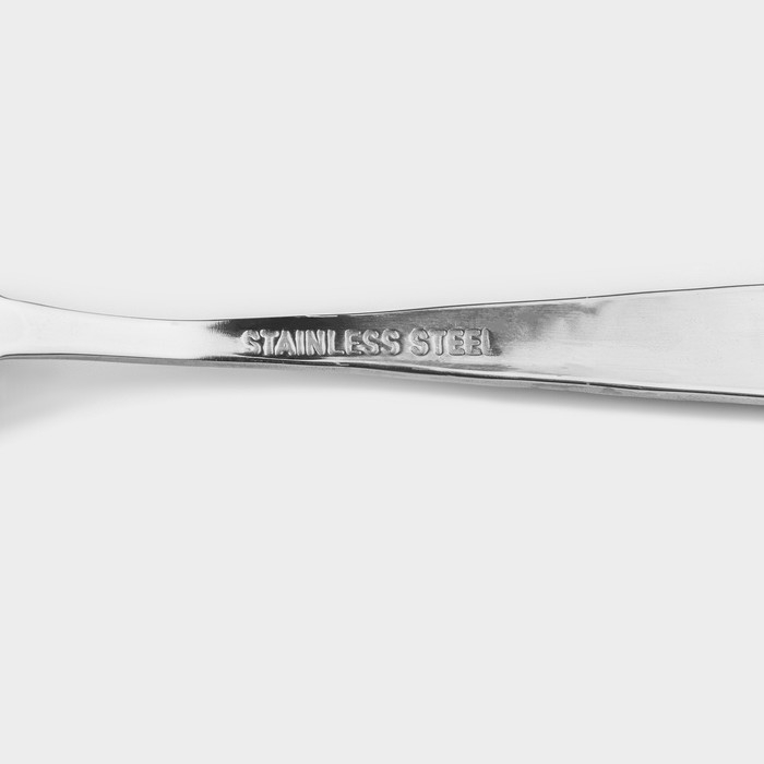 Набор чайных ложек из нержавеющей стали Доляна «Возрождение», длина 14,5 см, 6 шт, без золота Набор чайных ложек из нержавеющей стали Доляна «Возрождение», длина 14,5 см, 6 шт, без золота