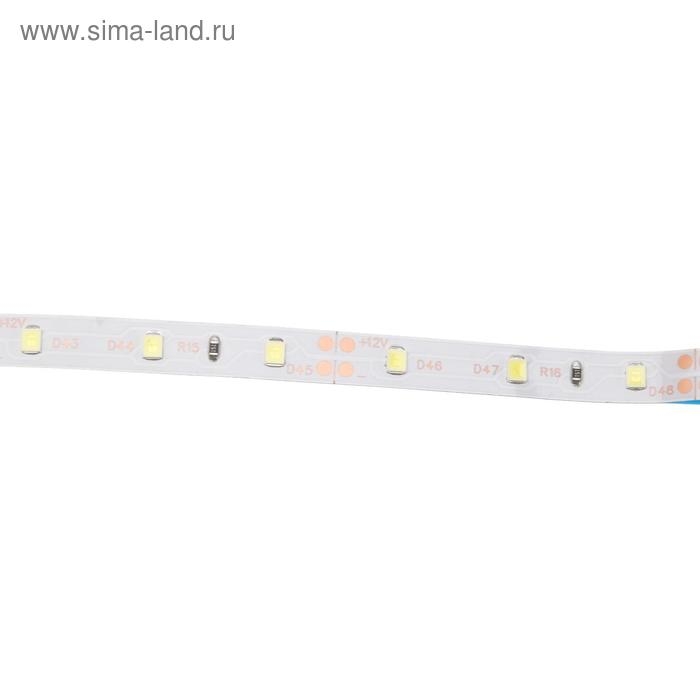 Светодиодная лента Ecola STD 5 м, IP20, SMD3528, 60 LED/м, 4.8 Вт/м, 12 В, 6000К Светодиодная лента Ecola STD 5 м, IP20, SMD3528, 60 LED/м, 4.8 Вт/м, 12 В, 6000К