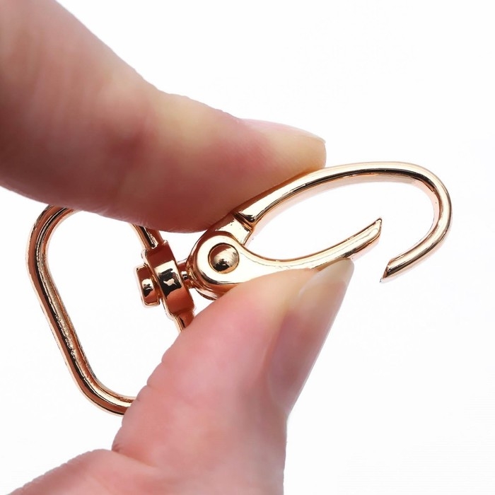 Карабин металлический, 43 × 25 мм / 20 × 2,2 мм, 5 шт, цвет золотой Карабин металлический, 43 × 25 мм / 20 × 2,2 мм, 5 шт, цвет золотой