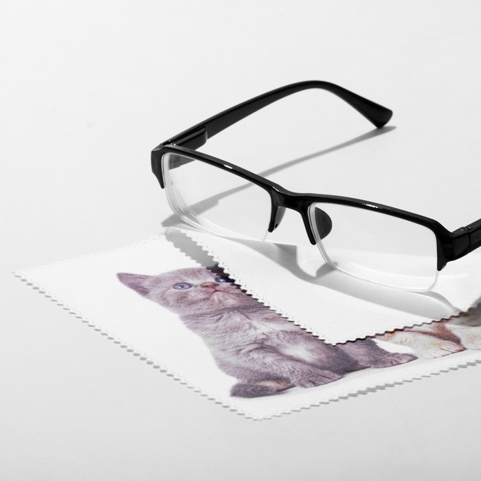 Салфетка для очков TAO41 «Котята», 15×18см, цвет бежевый Салфетка для очков TAO41 «Котята», 15×18см, цвет бежевый