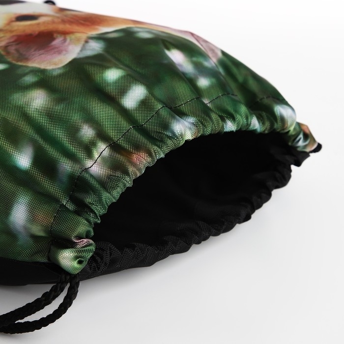 Мешок для обуви на шнурке, цвет зелёный Мешок для обуви на шнурке, цвет зелёный