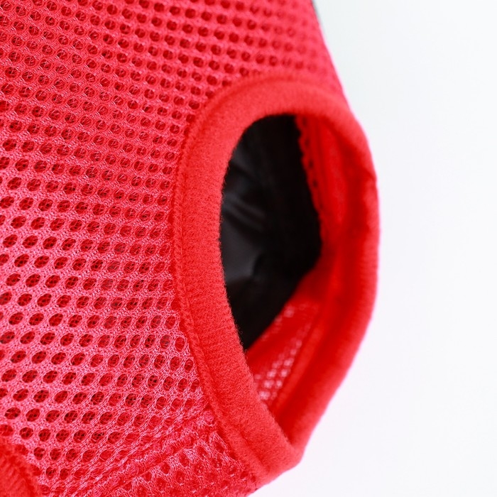 Рюкзак-переноска для кошек и собак  Рюкзак-переноска для кошек и собак "Кенгуру", 35 х 25 х 20 см, размер S, красный