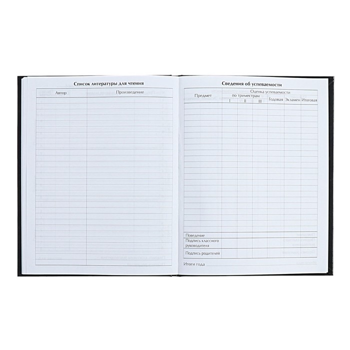 Дневник универсальный для 1-11 классов Дневник универсальный для 1-11 классов "Аниме. Музыка", твёрдая обложка, голография, 40 листов