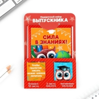 Подарочный набор на выпускной: Блокнот А6, 32л, наклейки и магнитные закладки 2 шт «Совята»