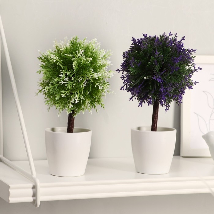 Бонсай в горшке Бонсай в горшке "Листочки-ёлочки" 20 см, микс