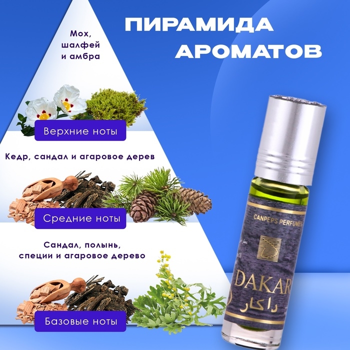 Духи масляные мужские ASKA, 6 мл Духи масляные мужские ASKA, 6 мл