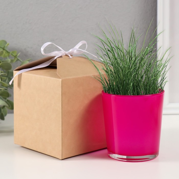 Набор для выращивания растений Набор для выращивания растений "Вырасти травку" розовый