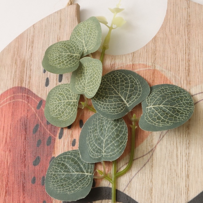 Крючки декоративные дерево Крючки декоративные дерево "Абстракция. Фрукт. Цветок" 1,5х23,4х22,5 см