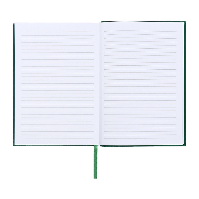 Ежедневник датированный 2024 года, А5, 176 листов, Attomex.Orion, обложка бумвинил, ляссе, блок 70 г/м2, зелёный Ежедневник датированный 2024 года, А5, 176 листов, Attomex.Orion, обложка бумвинил, ляссе, блок 70 г/м2, зелёный