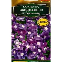 Семена цветов Катарантус Санджевелс блуберри шейдс  С. Floranova Золотая серия, Ц/П,7 шт.