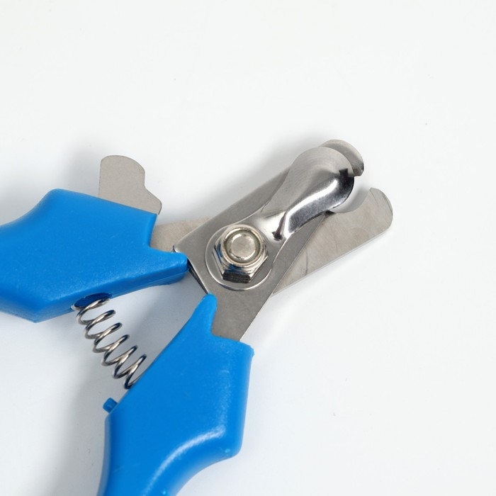 Когтерез боковой малый эконом, 12 х 4,5 х 1,4 см, синий Когтерез боковой малый эконом, 12 х 4,5 х 1,4 см, синий