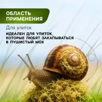Мох сфагнум &laquo;Рецепты Дедушки Никиты&raquo; 1.5 л