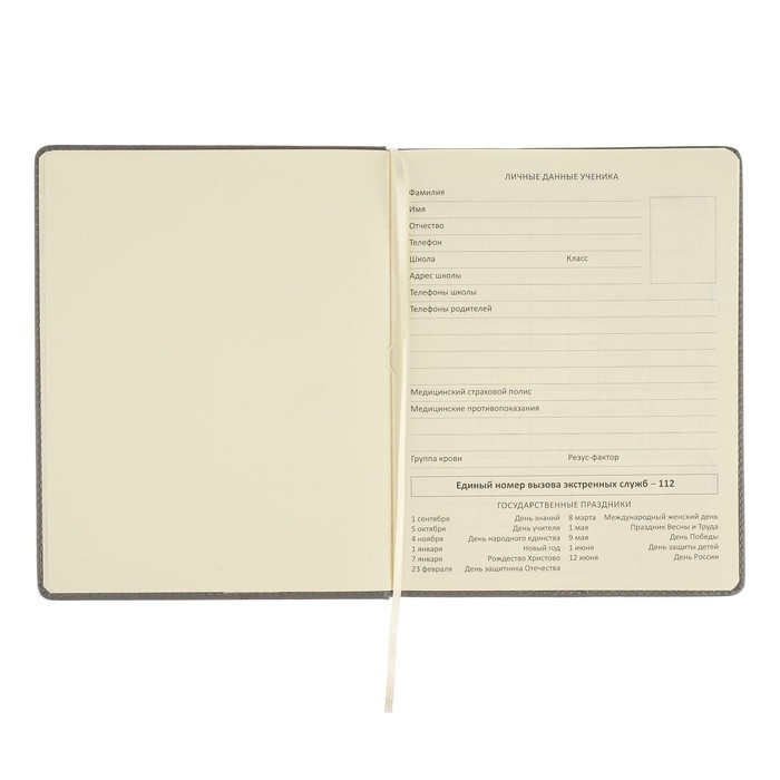 Дневник универсальный для 1-11 классов Grey, твёрдая обложка, искусственная кожа, резинка, ляссе, тонированный блок, 48 листов